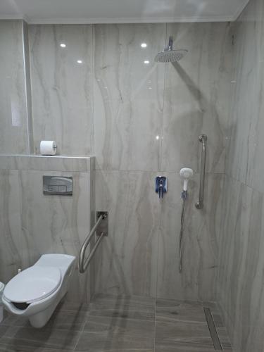 a bathroom with a shower with a toilet and a sink at Apollon Luxury Rooms in Nea Vrasna