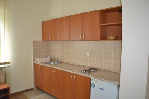 Kuchyň nebo kuchyňský kout v ubytování Apartments Tanja