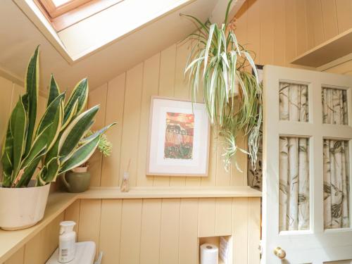 a bathroom with potted plants and a skylight at The Hayloft in Scarborough