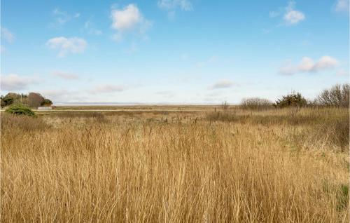 a field of tall brown grass in a field at Stunning Home In Ringkøbing With Sauna in Klegod