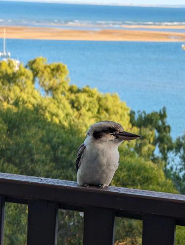a bird sitting on a railing looking at the ocean at Seaview - Charming Two-Bedroom Home with Stunning Views of the Historic Bay of 1770 in Seventeen Seventy