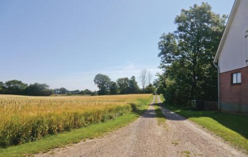 a dirt road next to a barn and a field at Röddehof in Blentarp