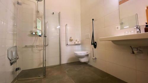 a bathroom with a shower and a toilet and a sink at Dobringers Chalet-Dorf Warös in Hermagor
