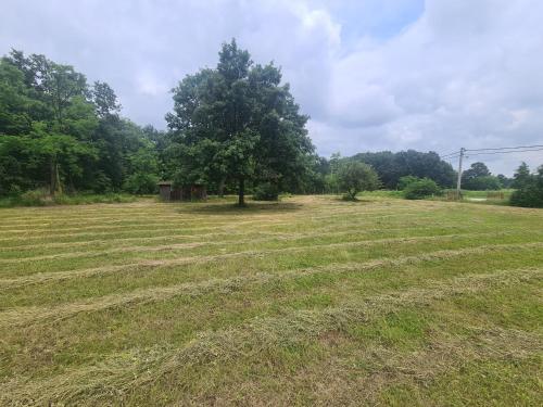 Foto dalla galleria di Šuma za odmor a Mladenovac