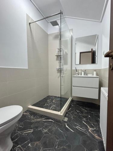 a bathroom with a shower and a toilet and a sink at Vila La Nașu in Techirghiol