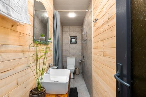 VenoSea Tsikhisdziri Seaside Cottage في تسيكهيسدزيري: حمام مع حوض ومرحاض