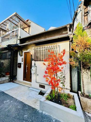 a small tree in front of a house at 和居 霊羽 日本の伝統を感じる趣ある邸宅 in Osaka