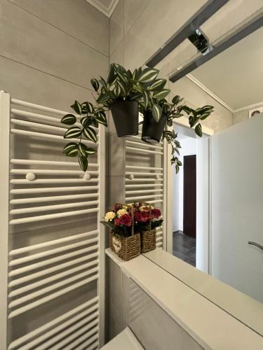 a bathroom with two potted plants on a counter at Apartman Jan in Bihać