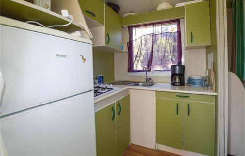 La cuisine est équipée de placards verts et blancs et d'un réfrigérateur. dans l'établissement Nice StaCaravan In Casalabriva, à Casalabriva