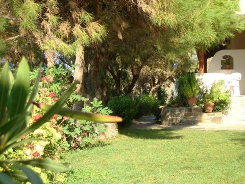 a garden with trees and grass and a white bench at Zorbas Apartments in Volissos