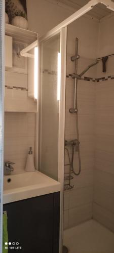 une salle de bain avec douche et lavabo dans l'établissement Bien au calme, à La Londe-les-Maures
