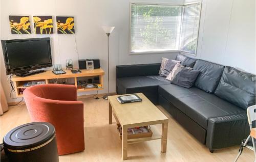 a living room with a black couch and a tv at 2 Bedroom Amazing Home In Tzummarum in Tzummarum