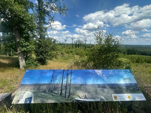 a table with a picture of a forest at Stara Szkola - Wielki Medromierz 59 in Wielki Modromierz