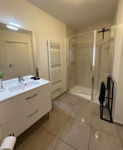 une salle de bain avec une douche et un lavabo et une douche dans l'établissement Studio à la montagne, à Saint-Jean-de-Sixt