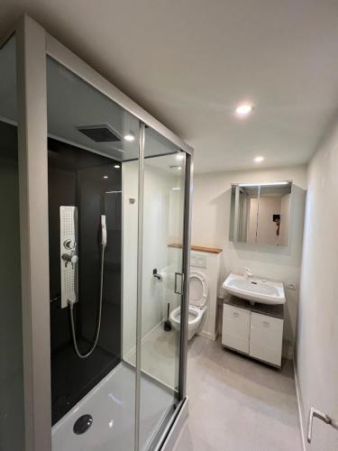 a bathroom with a shower and a toilet and a sink at Duplex sympa Verviers in Verviers