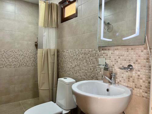a bathroom with a sink and a toilet and a mirror at Luxury Cottage next to observatory in Byurakan