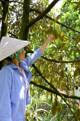 Huéspedes de The Durian Lodge at Mekong