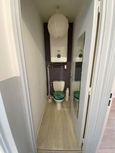 une petite salle de bains avec toilettes dans le couloir dans l'établissement Superbe appartement à 150 m plage de la péguière, à Saint-Raphaël