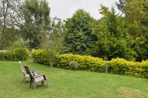 two benches sitting in the grass in a park at Avadale Kodaikanal - Stag Groups Not Allowed in Kodaikānāl