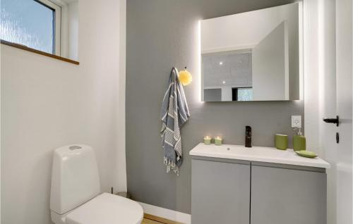 a white bathroom with a toilet and a sink at Nice Home In Hurup Thy With Wifi in Sindrup