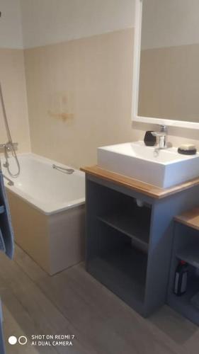 une salle de bain avec un lavabo, des toilettes et un miroir dans l'établissement charmante maison de bourg, à Francueil