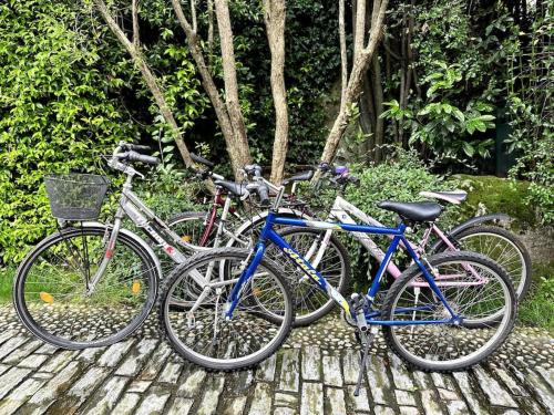 Montar en bicicleta en Lilly del Lago Maggiore o alrededores