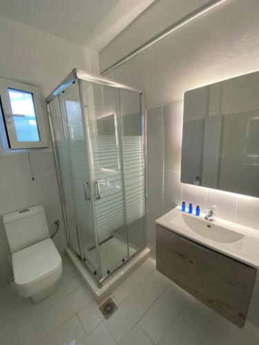 a bathroom with a shower and a toilet and a sink at Villa Loukia in Corfu