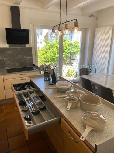 a kitchen with a counter with a stove top oven at Grand appartement sur Schiltigheim à proximité du centre de Strasbourg in Schiltigheim