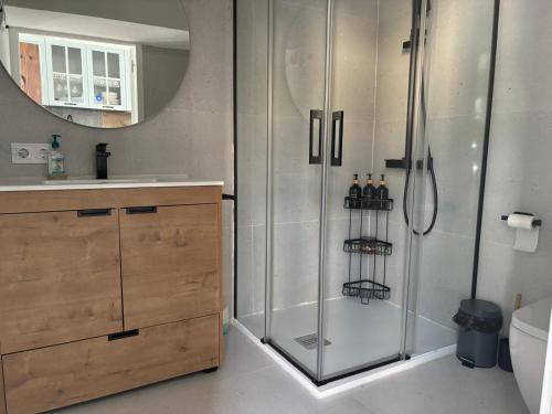 een badkamer met douche, wastafel en spiegel bij El rincón de Regina in Córdoba