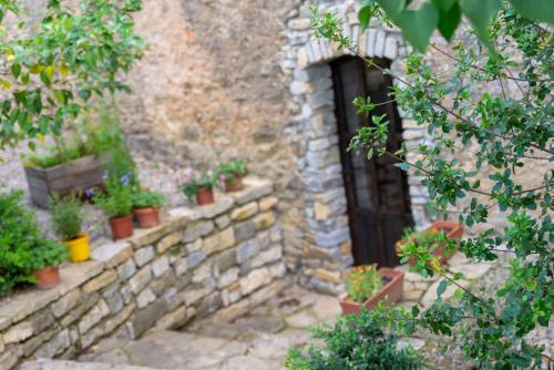 a stone wall with potted plants in front of a door at Maison d'Hôtes Mas de la Chadenede in Lagorce
