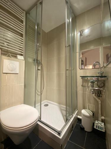 une salle de bain avec toilettes et douche en verre dans l'établissement Studio Rue Lacépède, à Paris