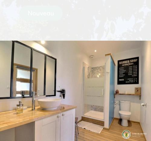 a bathroom with a sink and a toilet at Grange De Sagne maison et table d hôtes avec dîner sur réservation in Saint-Jean-Roure