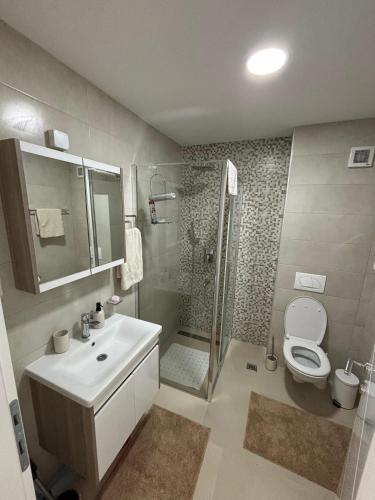a bathroom with a shower and a sink and a toilet at Elephant Apartments in Banja Koviljača