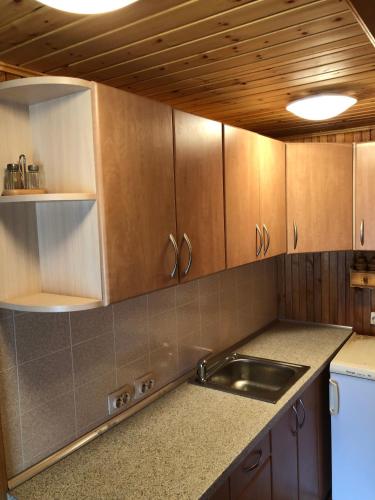 Dapur atau dapur kecil di Poilsiadienis