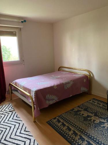 Ce lit se trouve dans un dortoir doté d'une fenêtre et d'un tapis. dans l'établissement Appartement de charme à Créteil, à Créteil