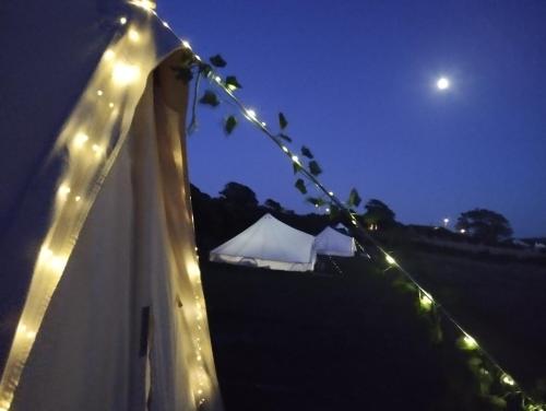 Φωτογραφία από το άλμπουμ του Porthleven Glamping σε Porthleven