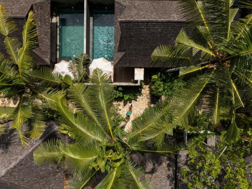 an overhead view of a building with palm trees at Unagi Wooden Villas by Emana in Ubud