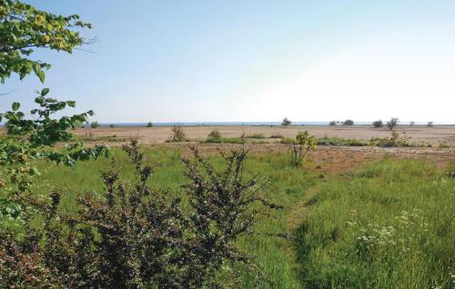 a field of grass with bushes and trees in the distance at Holiday Home Simrishamn Lxxv in Gladsax