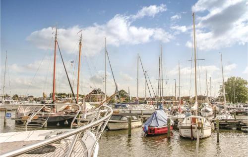 een stel boten aangemeerd in een haven bij Gorgeous Home In Woudsend With Wifi in Woudsend