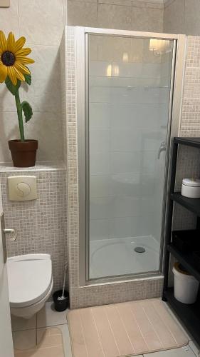 La salle de bains est pourvue d'une douche, de toilettes et d'une plante. dans l'établissement Le plein soleil, à Ajaccio