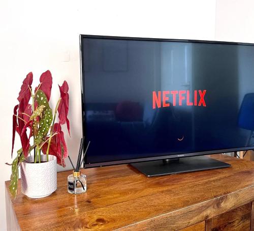 TV a/nebo společenská místnost v ubytování Centrally Located Apartment-free Parking