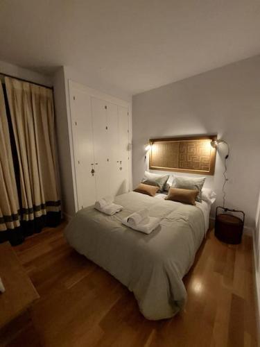 Luxury apartment Seville Center