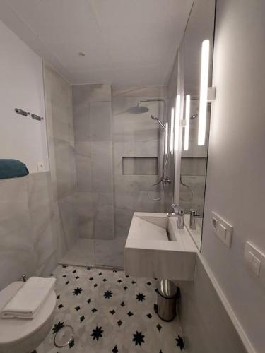 Luxury apartment Seville Center