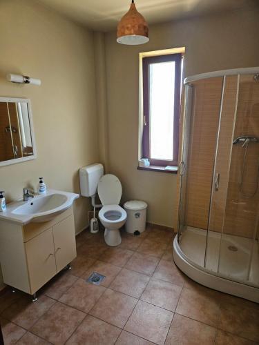 a bathroom with a toilet and a sink and a shower at Castello in Baile Felix