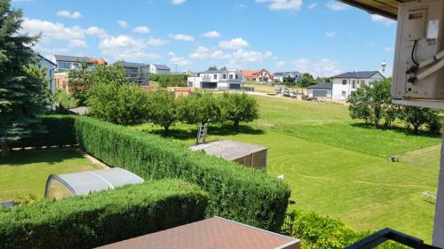 a view of a yard with a hedge at Villa Nova in Hévíz