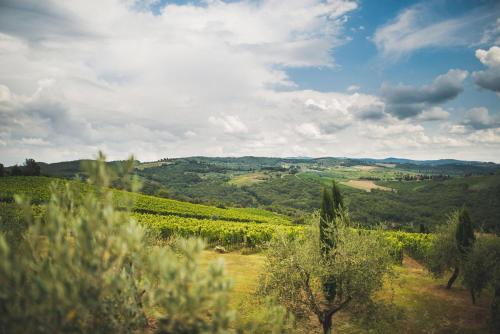 a view of a vineyard in the rolling hills at Fattoria di Rignana Winery BnB in Greve in Chianti