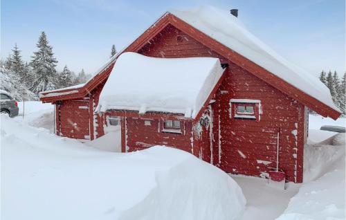 Nice Home In Lillehammer With Wifi v zimě