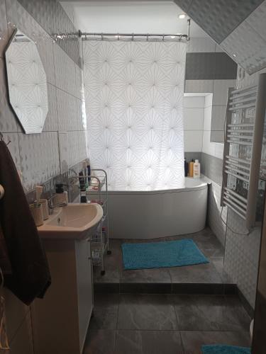 a bathroom with a shower and a sink and a tub at Rafaelo Władycze 17/4 in Przemyśl