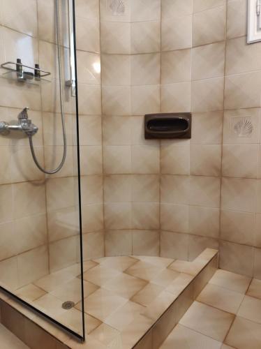 a shower with a glass door in a bathroom at Kleanthi Apartments in Drios