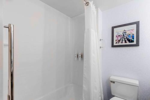 a bathroom with a shower with a toilet and a picture at Hilton Garden Inn Freeport Downtown in Freeport
